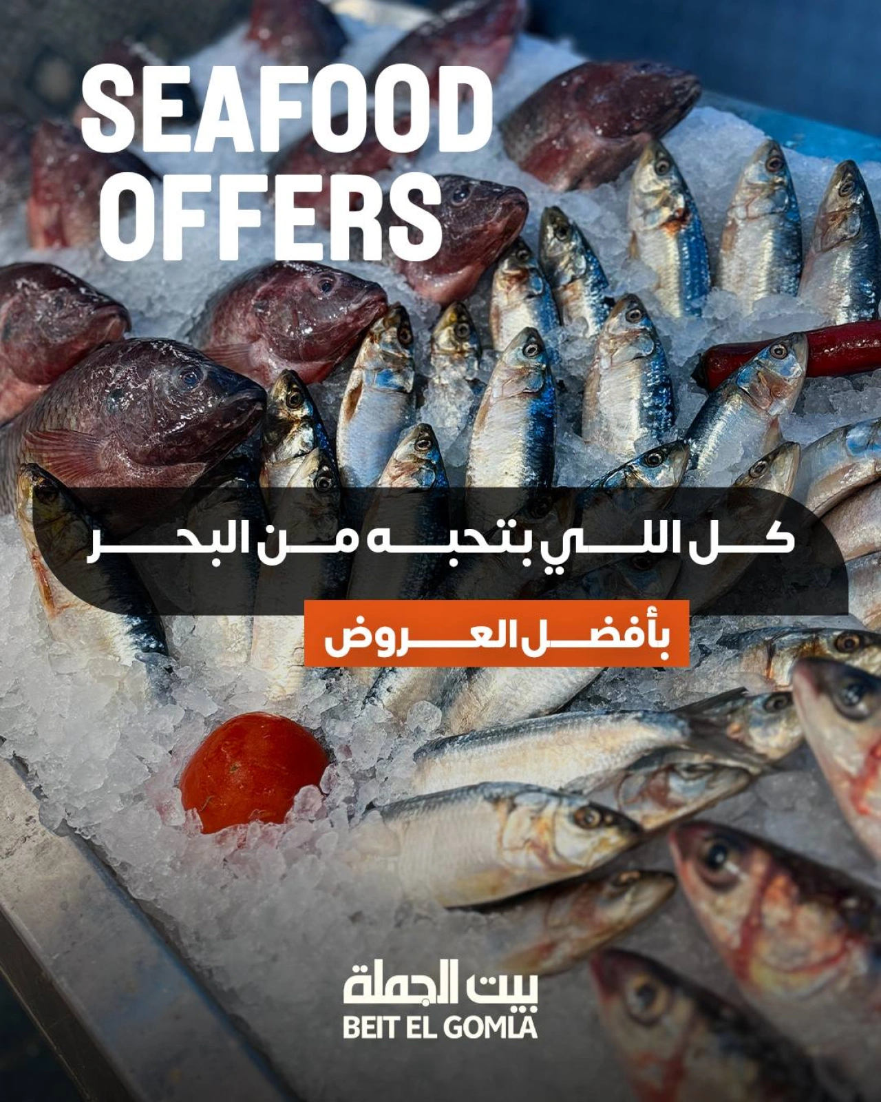 Page 1 dans Offres de poisson chez Maison Gomla Egypte