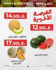 Page 5 in Offers of vegetables and fruits at Arafa market Egypt