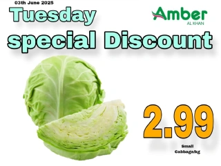 Page 4 in Amazing Tuesday offers at Anbar AL Madina UAE