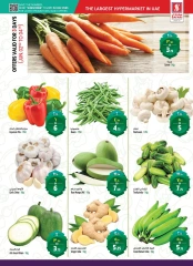 Page 5 in Eid Al Adha offers at Safari hypermarket UAE