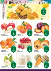 Page 4 in Eid Al Adha offers at Safari hypermarket UAE
