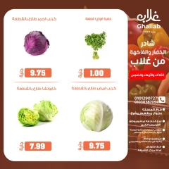 Page 11 dans Offres de légumes et de fruits chez Marchés de Ghallab Egypte