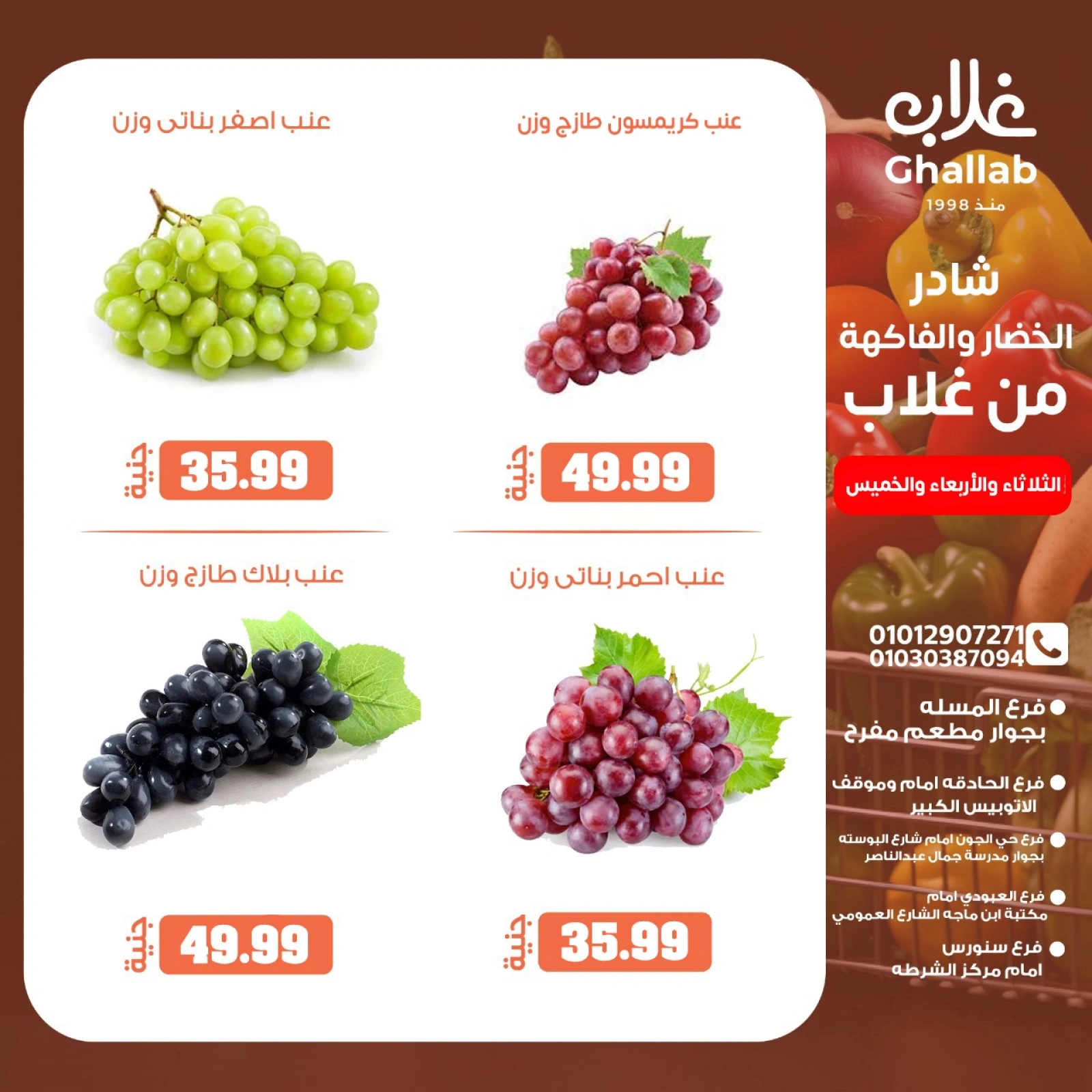 Page 13 dans Offres de légumes et de fruits chez Marchés de Ghallab Egypte