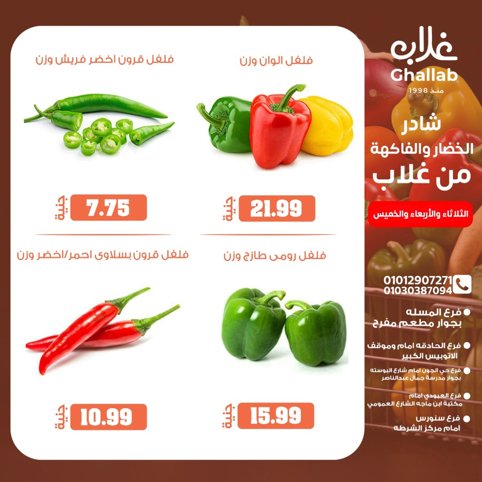 Page 10 dans Offres de légumes et de fruits chez Marchés de Ghallab Egypte