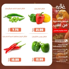 Page 10 dans Offres de légumes et de fruits chez Marchés de Ghallab Egypte