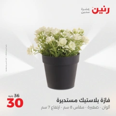 Page 23 dans Offres de pièces décoratives chez Raneen Egypte