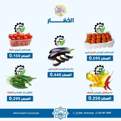 Page 2 in Vegetable and fruit offers at Dah & Mns co-op Kuwait