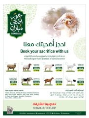 Page 2 in Eid Al Adha offers at Sharjah Cooperative UAE
