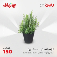 صفحة 30 ضمن عروض قطع الديكور في رنين مصر