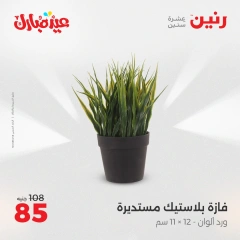 صفحة 29 ضمن عروض قطع الديكور في رنين مصر