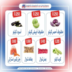 Page 3 in Fresh Deals at North West Sulaibkhat co-op Kuwait