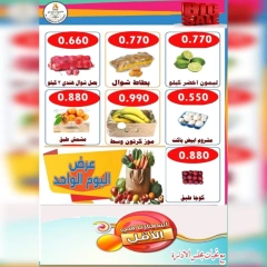 Page 3 in One day offers at Ahmadi coop Kuwait