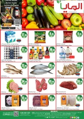 Page 2 in Fresh offers at Al Maya supermarket UAE