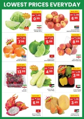 Page 2 in Lowest Prices at Gala supermarket UAE