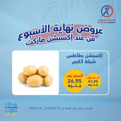صفحة 9 ضمن عروض نهاية الأسبوع في إكسبشن ماركت مصر