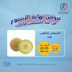 صفحة 10 ضمن عروض نهاية الأسبوع في إكسبشن ماركت مصر