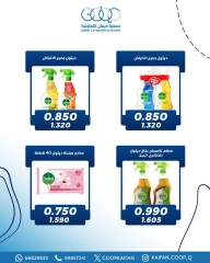 Page 2 dans Offres d'un jour chez Coopérative Kaifan Koweït