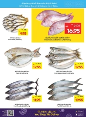 Page 7 dans Offres fantastiques chez Coopérative d'Abou Dhabi ADCOOP Émirats arabes unis
