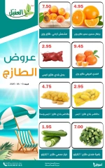 Page 4 in Fresh Deals at Al Aqial markets Saudi Arabia
