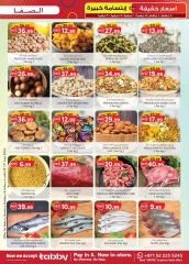Page 31 in Light Prices at Safa Express UAE