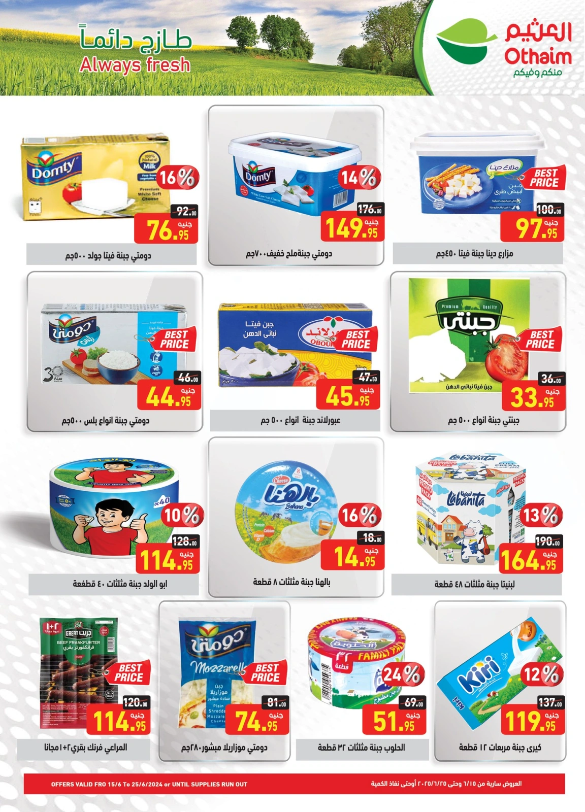 Page 11 in Summer Deals at Othaim Markets Egypt