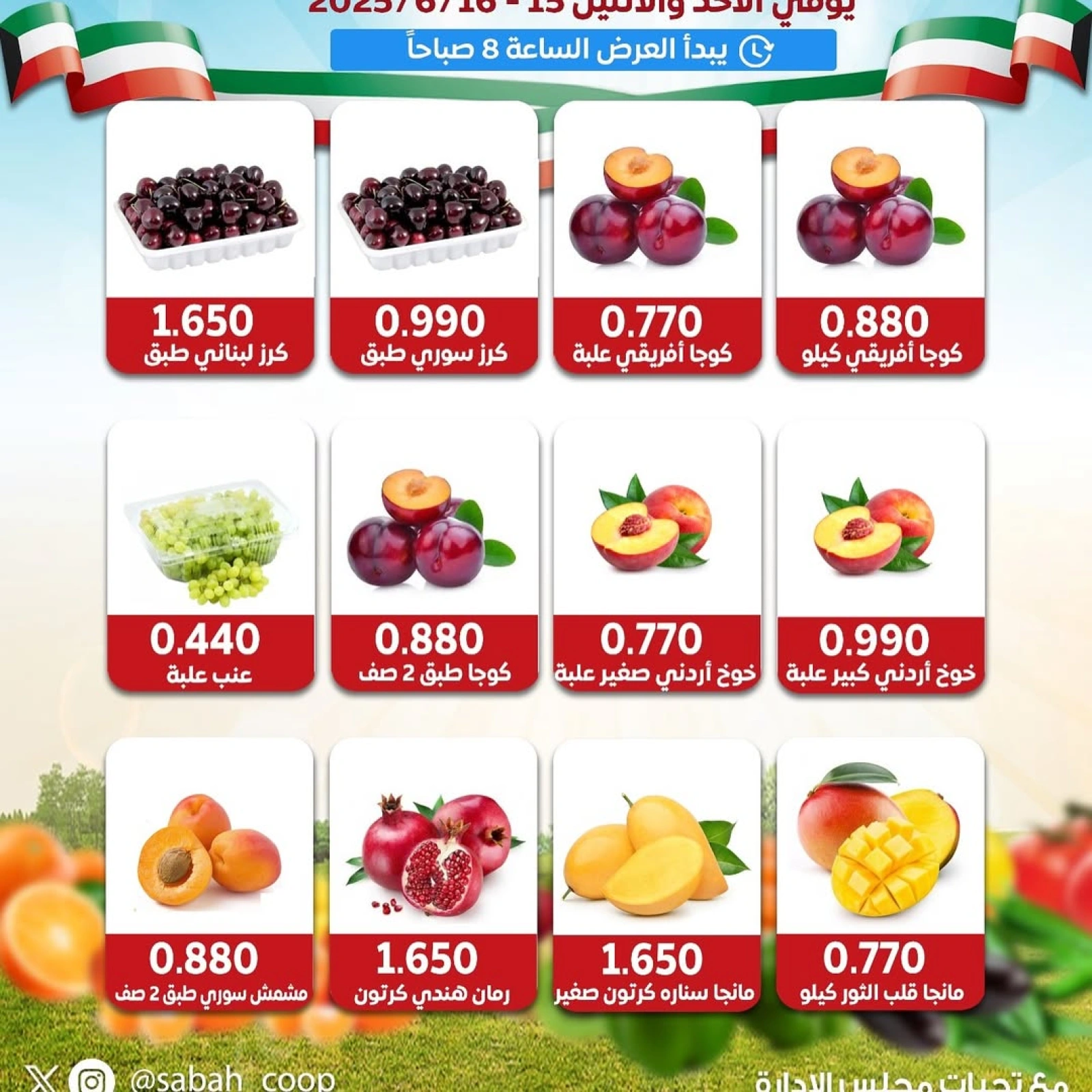 Page 3 |Vegetable and fruit offers at Sabah Al Ahmad co-op Kuwait
