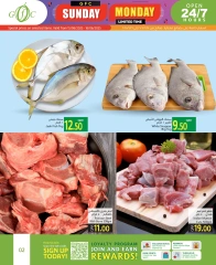 Página 2 |Ofertas domingo y lunes en Centro de alimentos del Golfo Katar