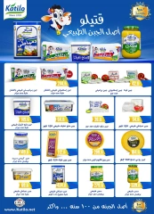 Page 9 in Summer Deals at Al Rayah Market Egypt