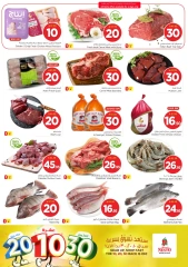 Page 2 in Offers 10 20 30 riyals at Nesto Saudi Arabia