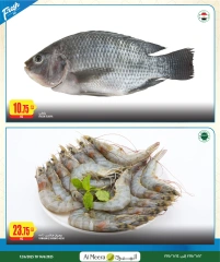 Página 3 |Las ofertas más destacadas en Al Meera Katar