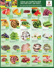 Page 16 |Big Savings Offers at Nesto Kuwait