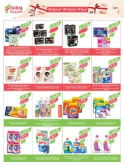 Page 13 in Beauty Festival Deals at Farm markets Saudi Arabia