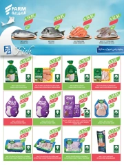 Page 19 in Beauty Festival Deals at Farm markets Saudi Arabia