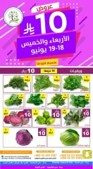 Page 1 in Only 10 Rial Deals at Hasad Albasatin Saudi Arabia