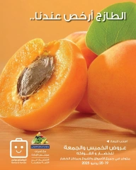 Page 1 |Vegetable and fruit offers at Al-Rawda & Hawali CoOp Society Kuwait