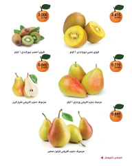 Page 4 |Vegetable and fruit offers at Al-Rawda & Hawali CoOp Society Kuwait