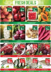 Page 2 in Weekly Savings Offers at City flower Saudi Arabia