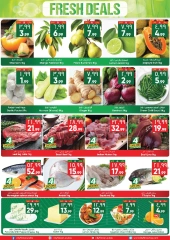 Page 3 in Weekly Savings Offers at City flower Saudi Arabia
