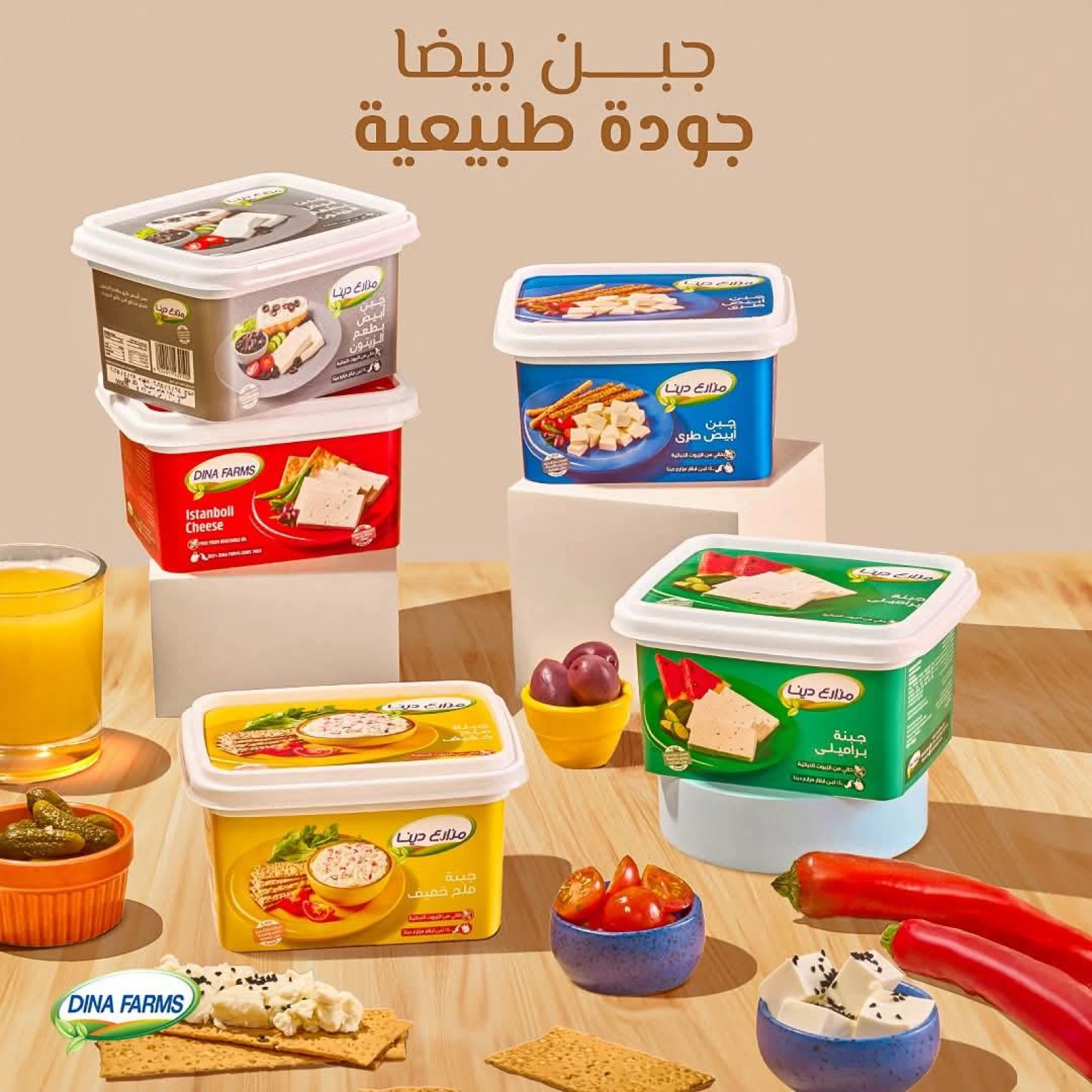 Page 39 |Offres week-end EN Negmet Heliopolis Egypte