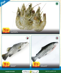Página 3 |Las ofertas más destacadas en Al Meera Katar