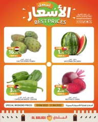 Página 2 |mejor precio en Souq Al Baladi Katar