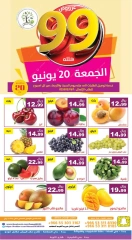 Page 5 in 99 halala offers at Hasad Albasatin Saudi Arabia