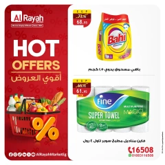 Page 5 in Great Deals at Al Rayah Market Egypt