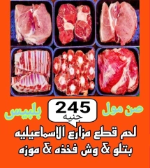 Page 32 in Weekend Deals at Sun Mall Egypt