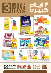 Page 1 in Big 3 Days Offers at Nesto Saudi Arabia