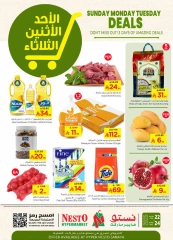 Page 1 in Super Deals - Sanaya branch at Nesto Saudi Arabia