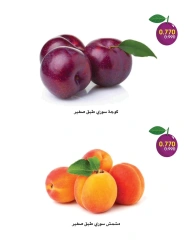 Page 2 |Fresh Deals at Al-Rawda & Hawali CoOp Society Kuwait