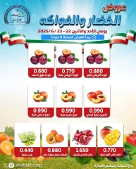 Page 4 |Vegetable and fruit offers at Sabah Al Ahmad co-op Kuwait
