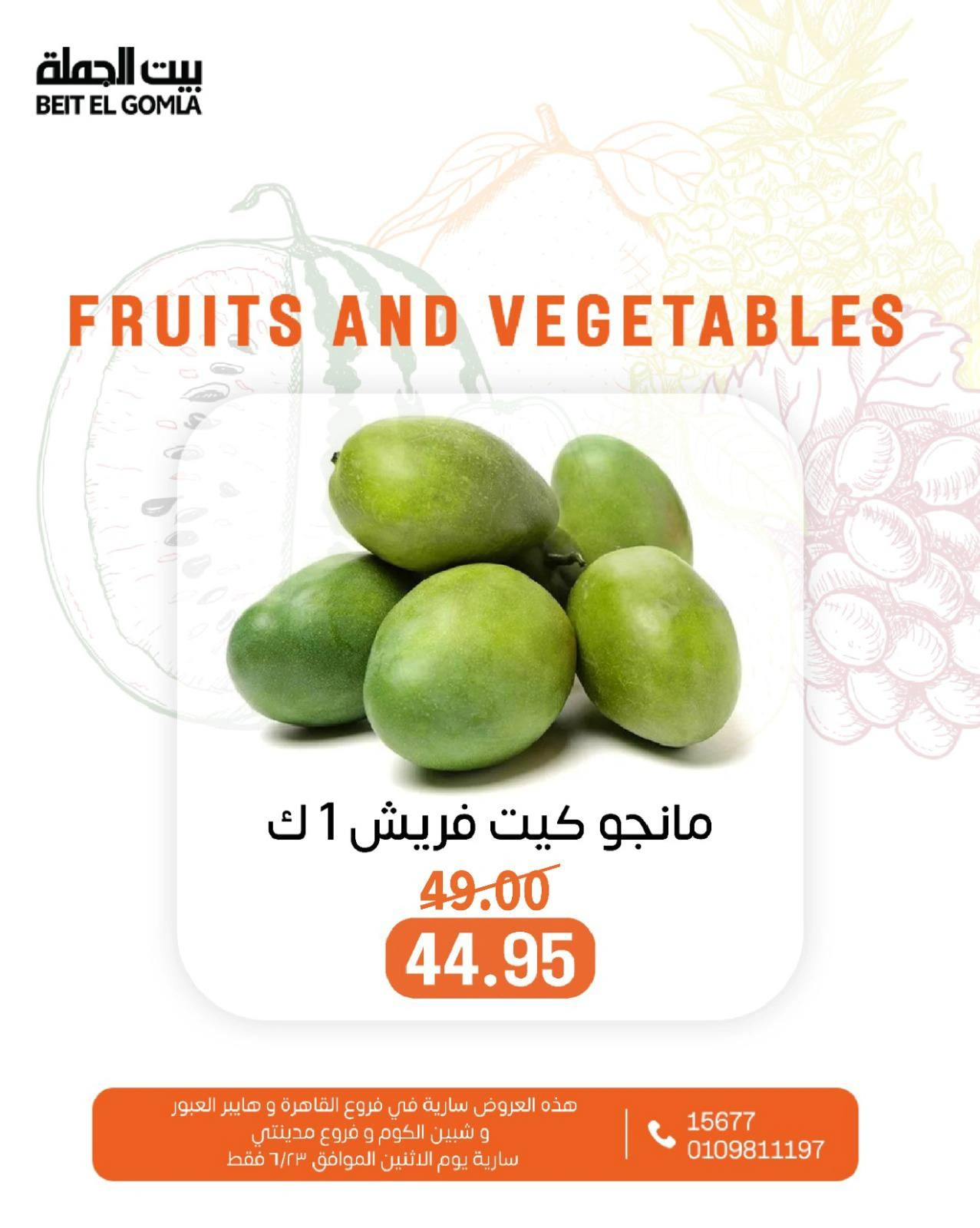 Page 3 in Offers of vegetables and fruits at Gomla House Egypt
