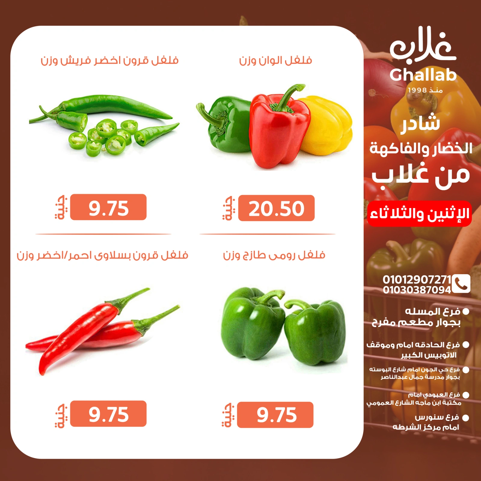 Page 8 in Shader Monday and Tuesday at Ghallab Markets Egypt